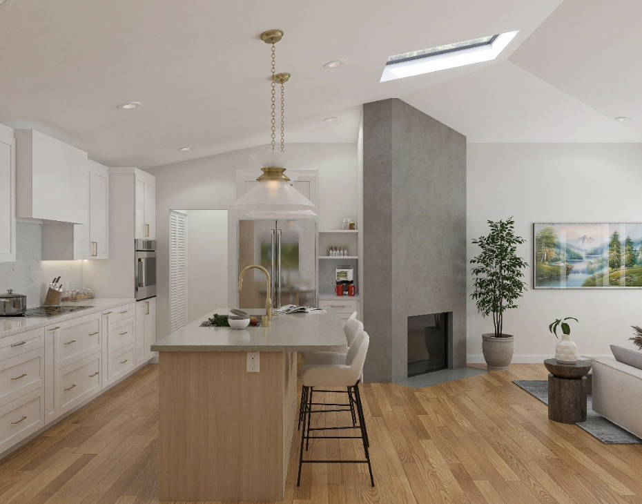 open concpet renovation2